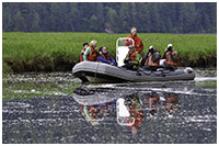Cruising for Grizzlies in the Khutzeymateen