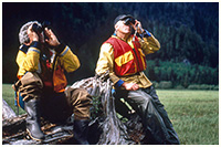 Scanning for Wildlife in the Khutzeymateen
